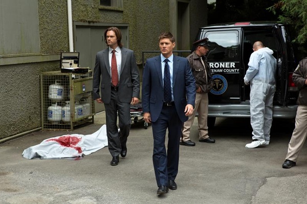 邪恶力量第八季