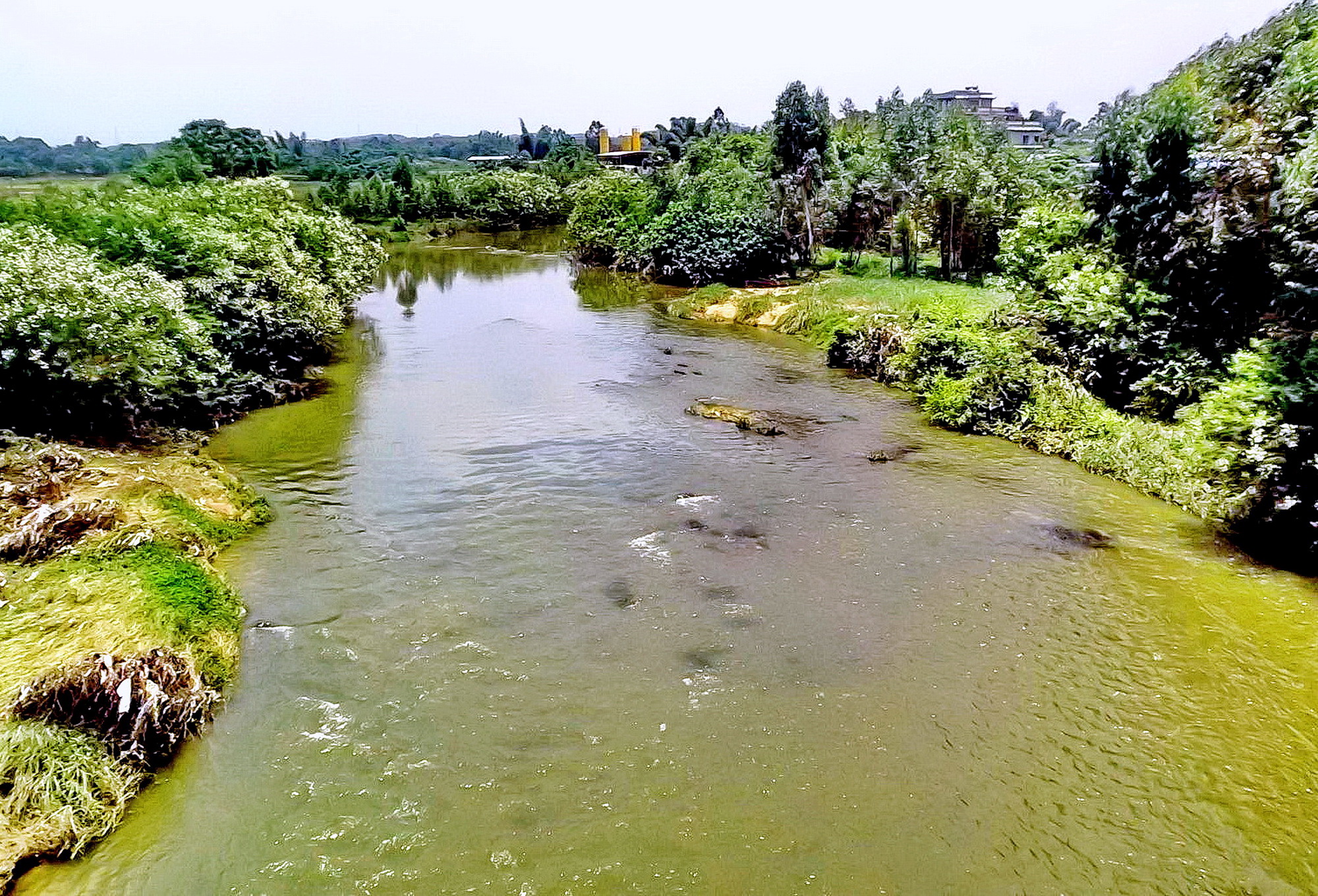 广西博白县龙潭镇