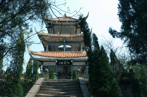 火星森林公园
