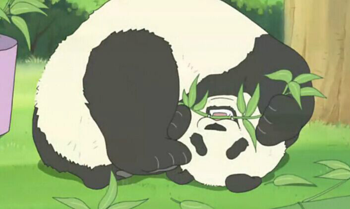  p>电视动画《白熊咖啡厅》改编自日本漫画家ヒガアロハ原作的同名