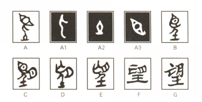 p>望(拼音:wàng)是汉语常用字,最早见于商代甲骨文.
