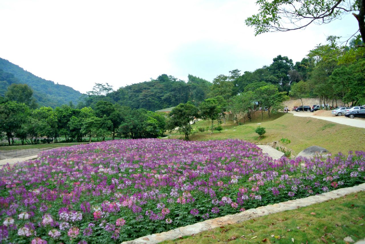  p>广州二龙国际旅游生态度假区(广州二龙山花园),在这你会感受到原始