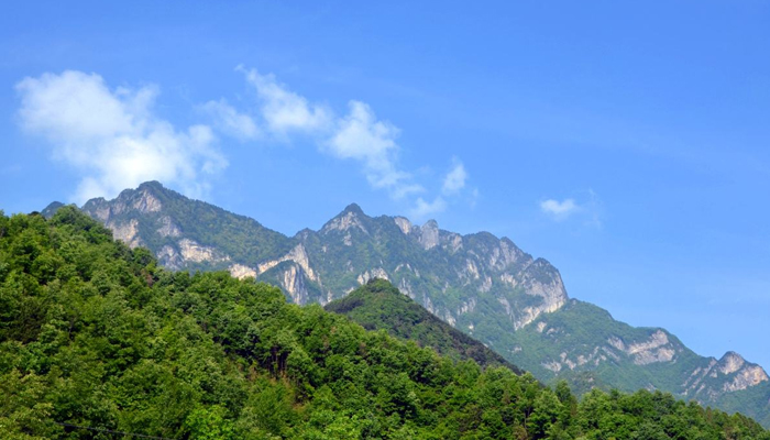 山阳苍龙山森林公园