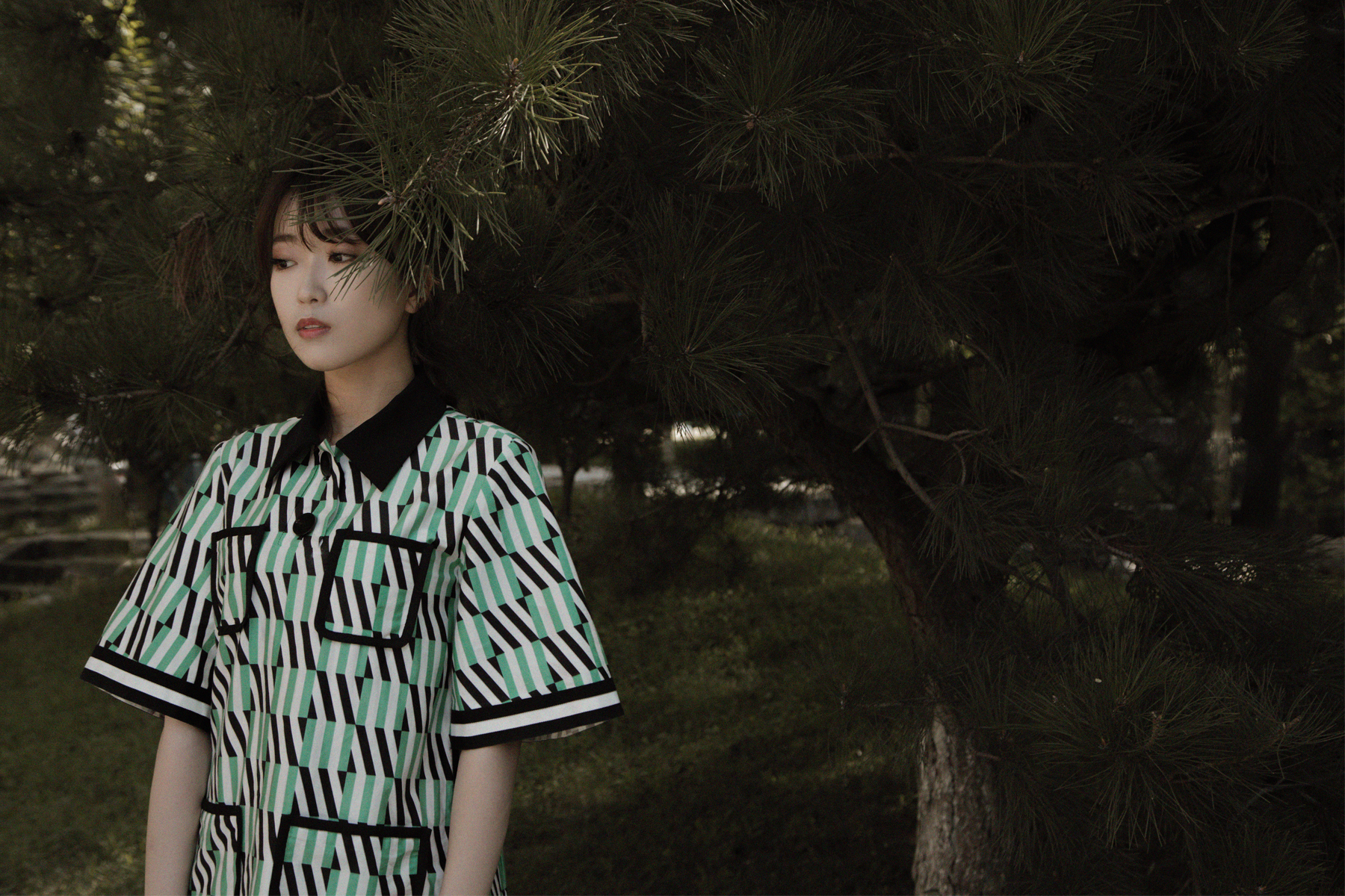 蕊希