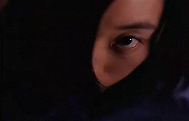 幽灵人间visiblesecret(2001)