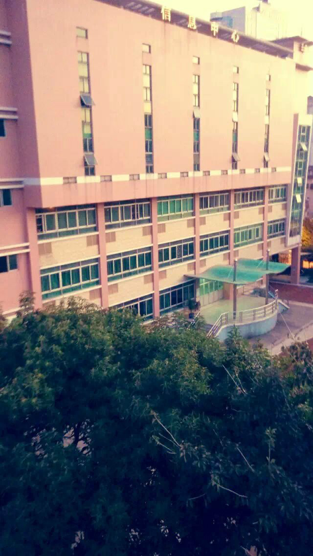 广州市番禺区市桥东风中学