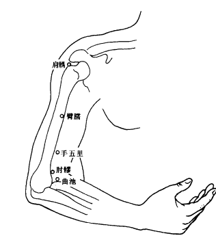 肘髎
