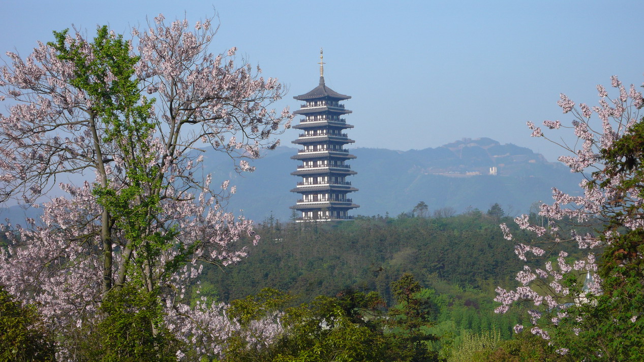 龙背山森林公园