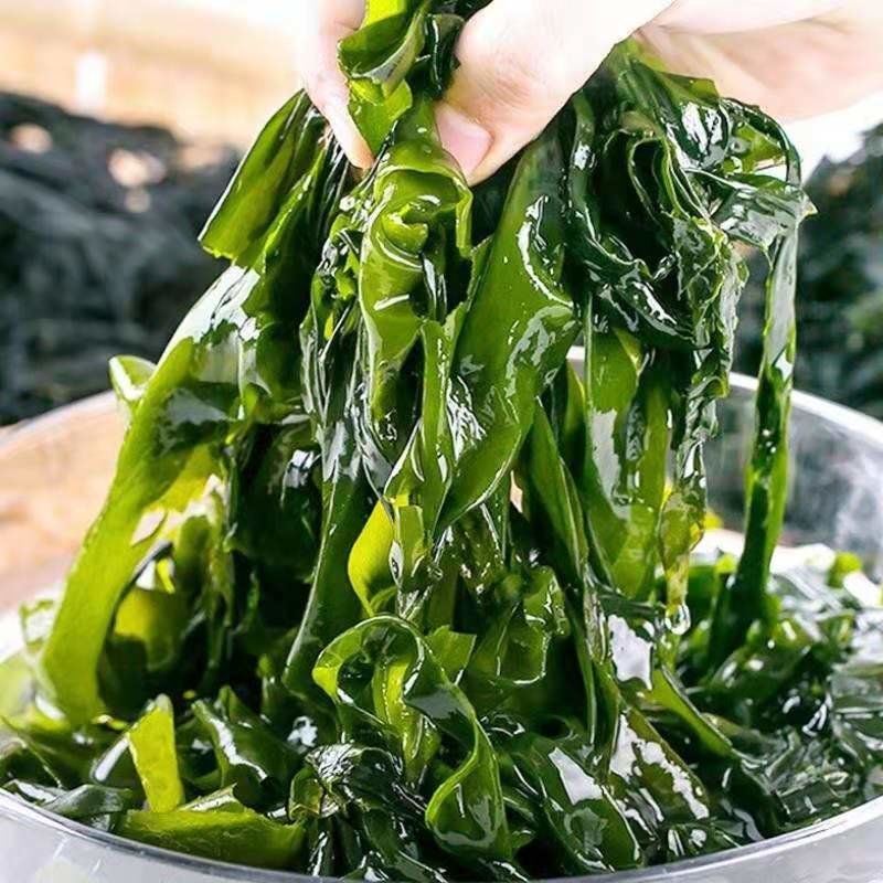 裙带菜