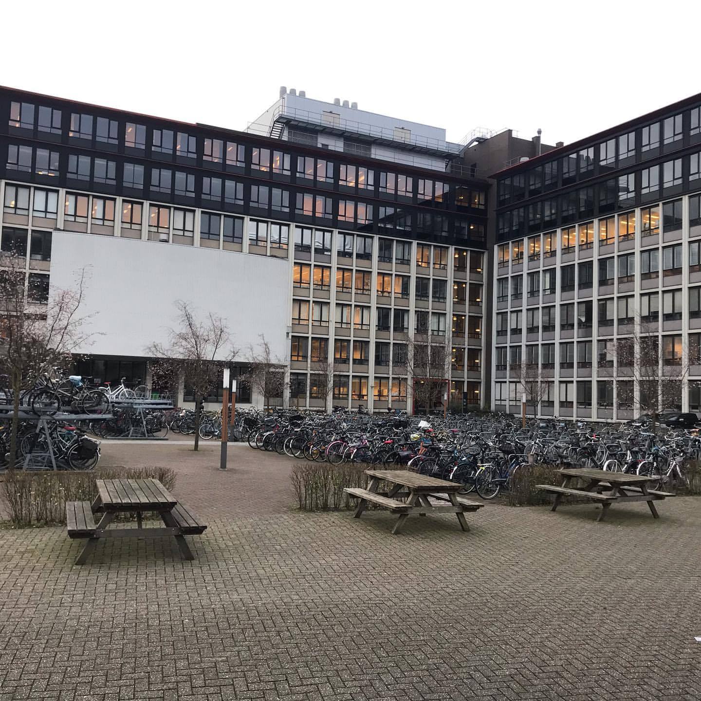 阿姆斯特丹自由大学