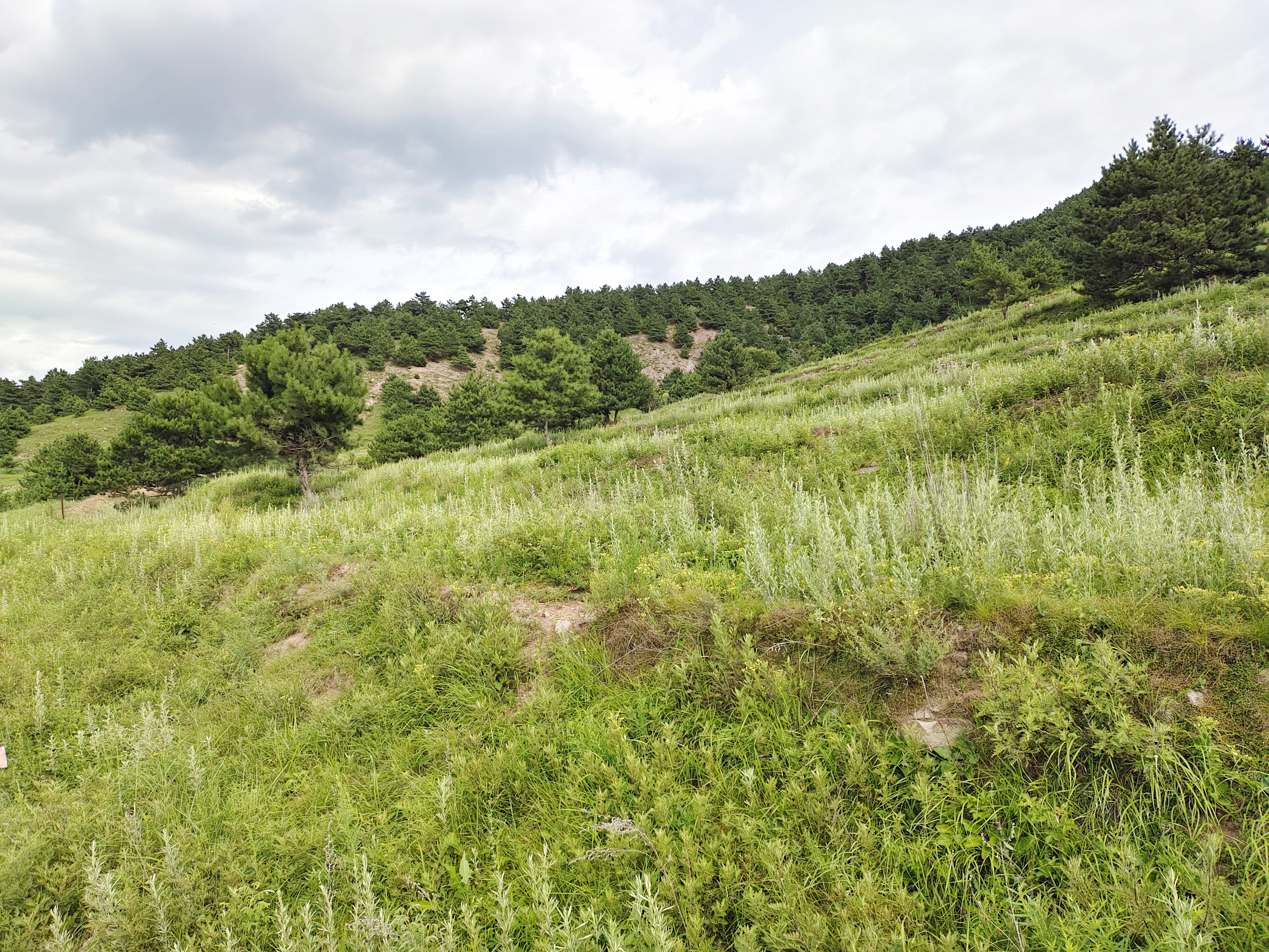 山区