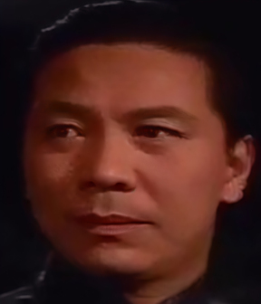 魏龙豪