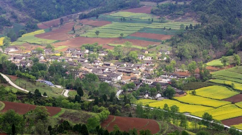 小地坝村