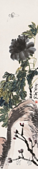 黑牡丹