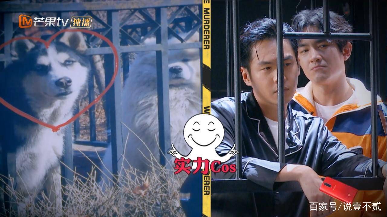 《明侦》收官，魏晨魏大勋、张若昀刘昊然、林更新的表现谁更好？_百科TA说
