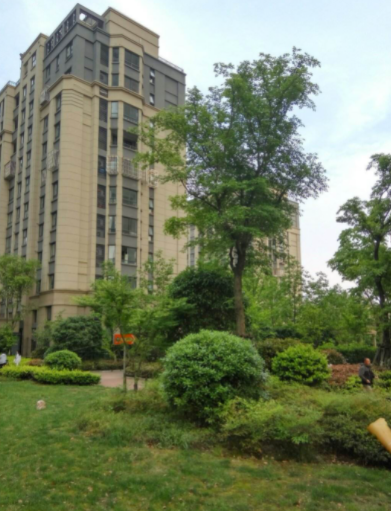  p data-id="go00hmgjqu">新闸街道,隶属于江苏省常州市 a target="