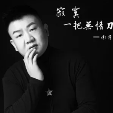  p>《寂寞一把无情刀》是谢涛演唱的歌曲,由苗子作词作曲,收录于专辑
