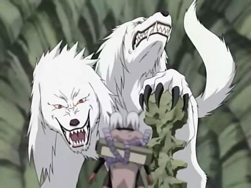  p>赤丸,日本漫画《 a target="_blank" href="/item/火影忍者/8702"