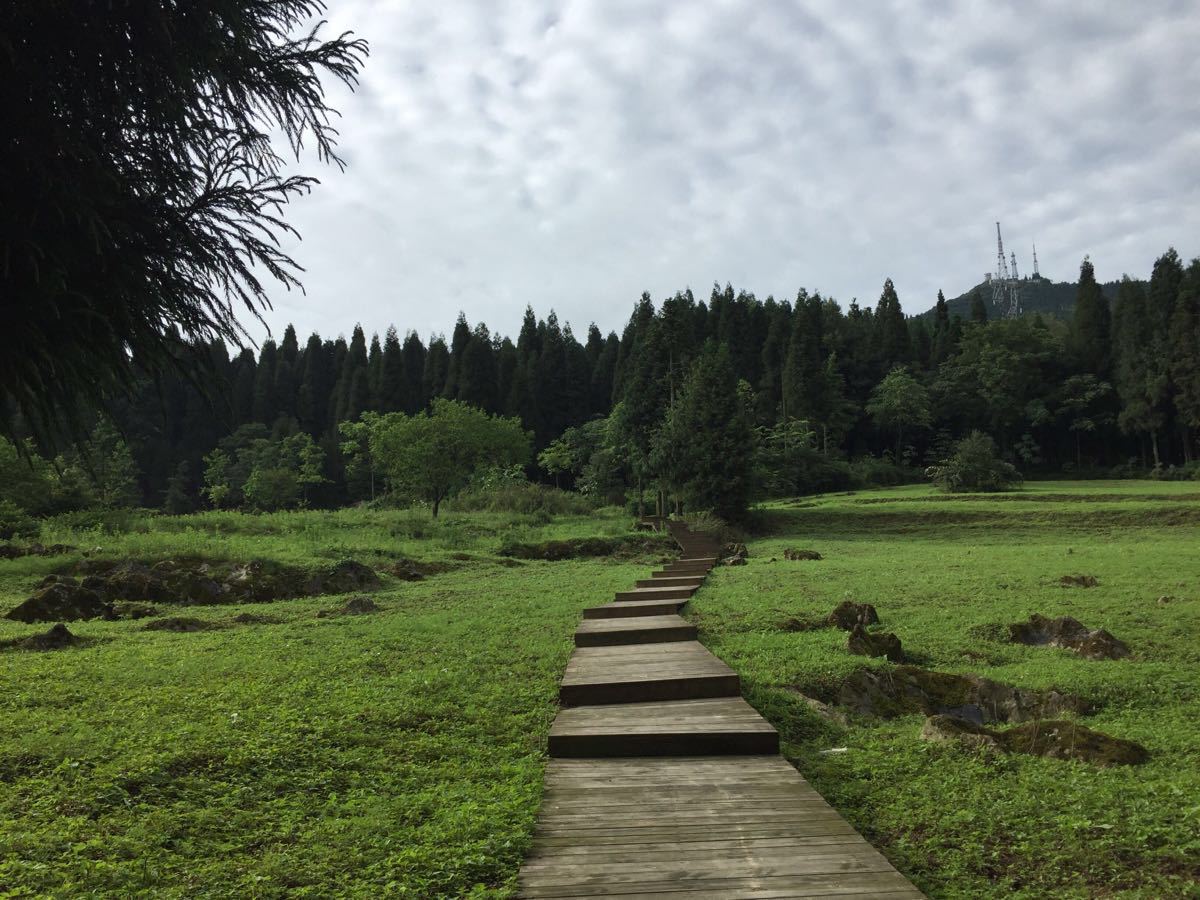 武陵山国家森林公园