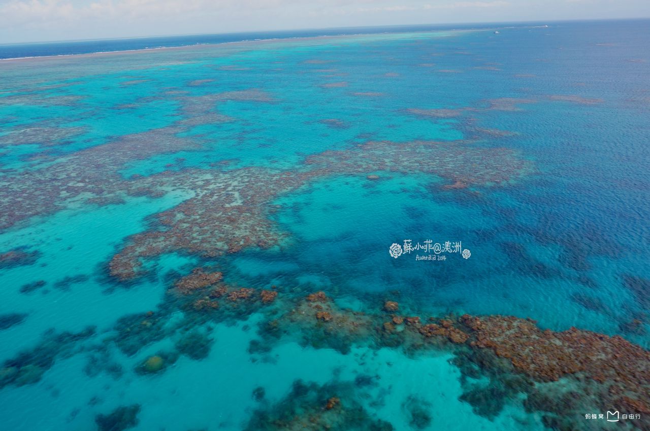  p>大堡礁(英文:the great barrier reef,法文:grande barrière de