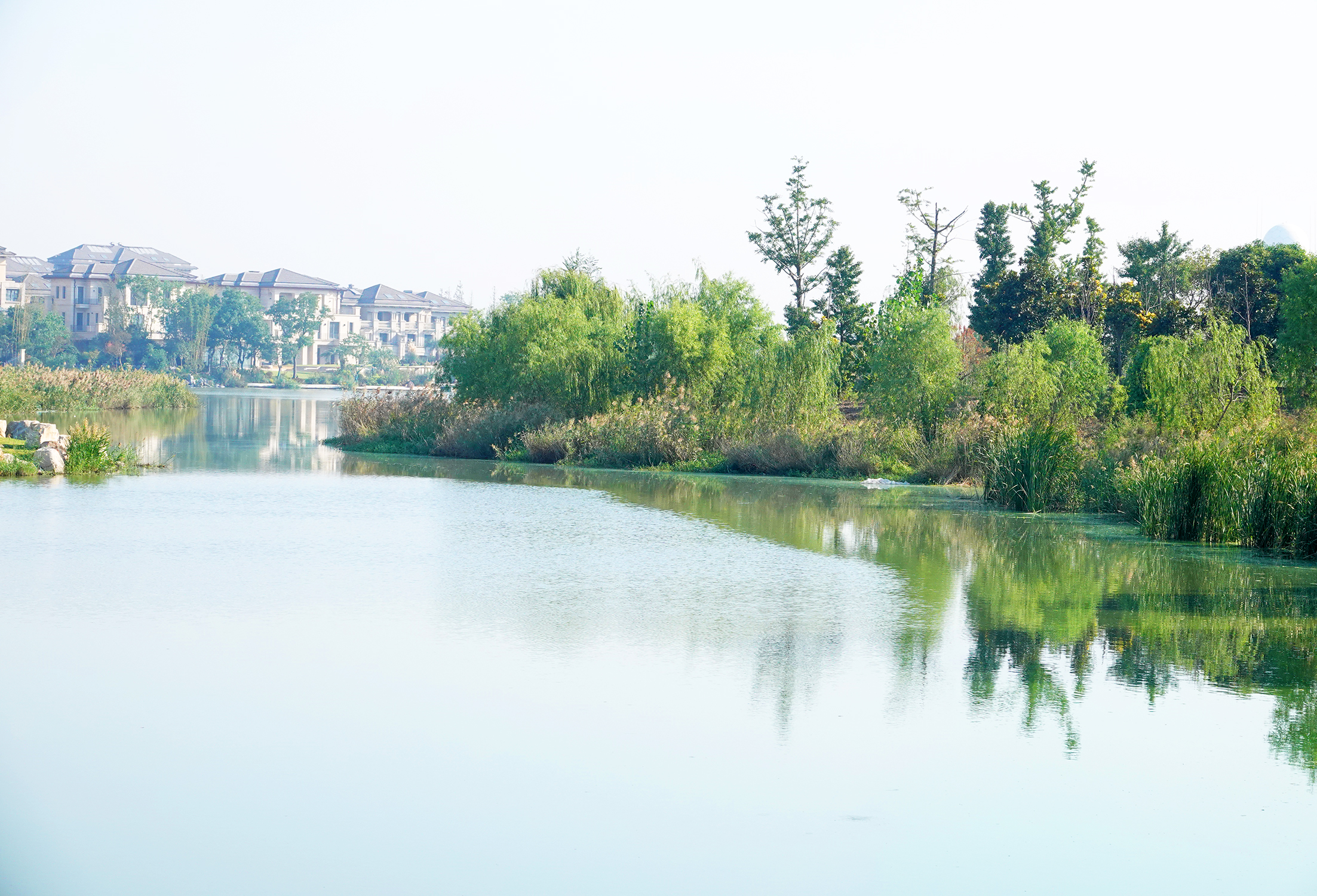 大洋湾生态运动公园