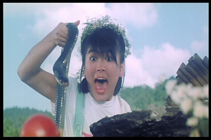  p>《开心乐园》是由 a href="#" data-lemmaid="6418440">麦当杰 /a>