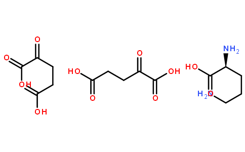 l-谷氨酰胺-α-酮戊二酸