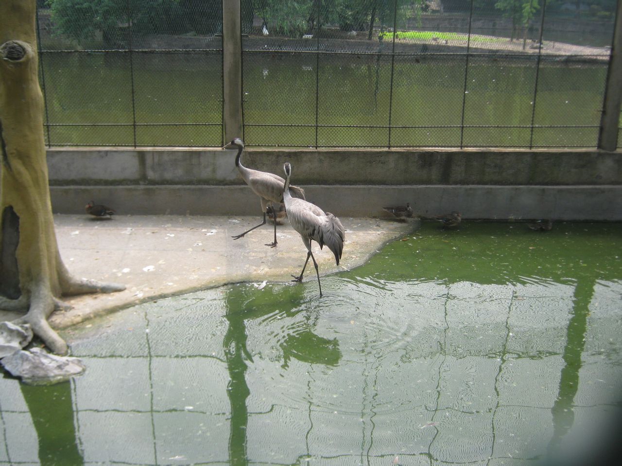  p>衡阳动物园坐落于中南重镇 a href="#" data-lemmaid="235811">