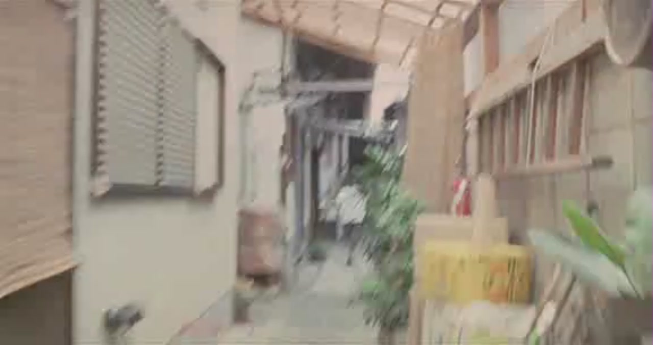 沙罗双树