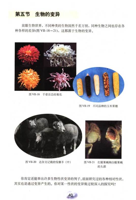 遗传变异_百度百科