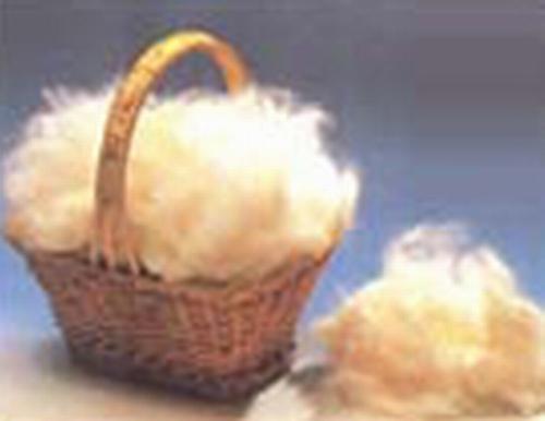 p>马海毛(英语mohair; a target="_blank" href="/item/土耳其语