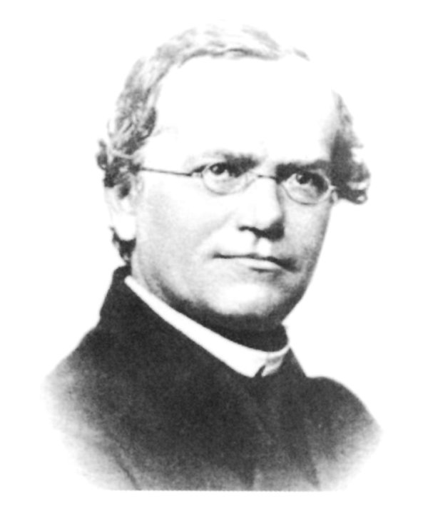  p>格雷戈尔·孟德尔(gregor johann mendel, i>1822年7月20日-1884年