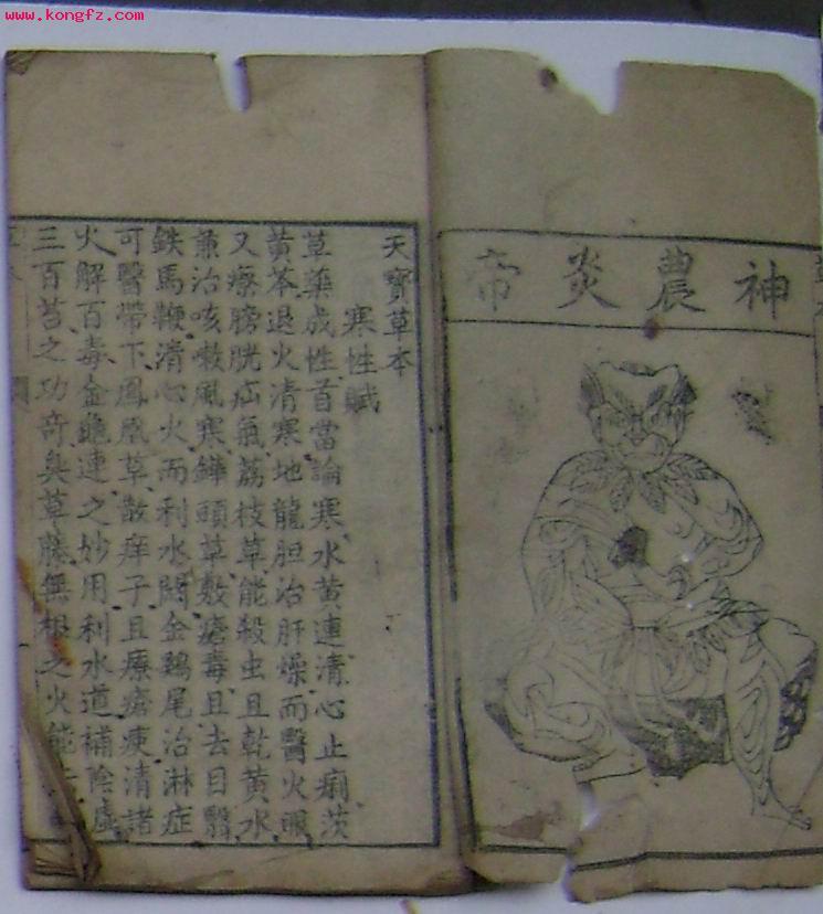 天宝本草
