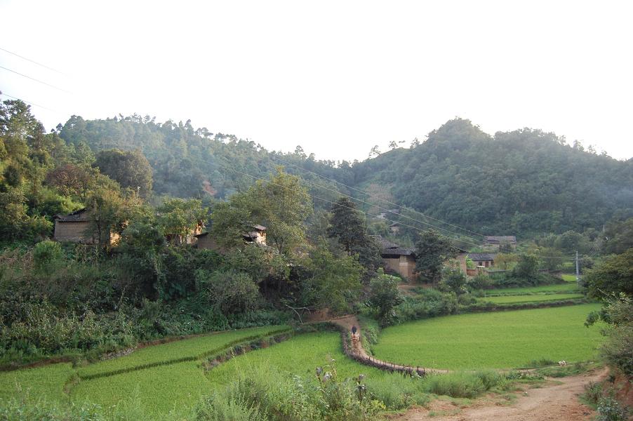  p>马滚坡自然村,隶属于云南省文山壮族苗族自治州砚山县阿猛镇阿基