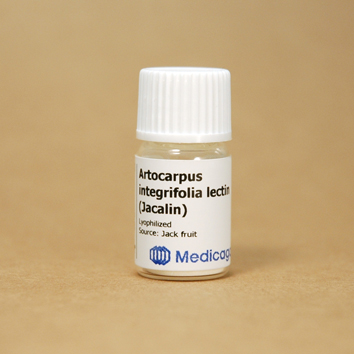 lectin
