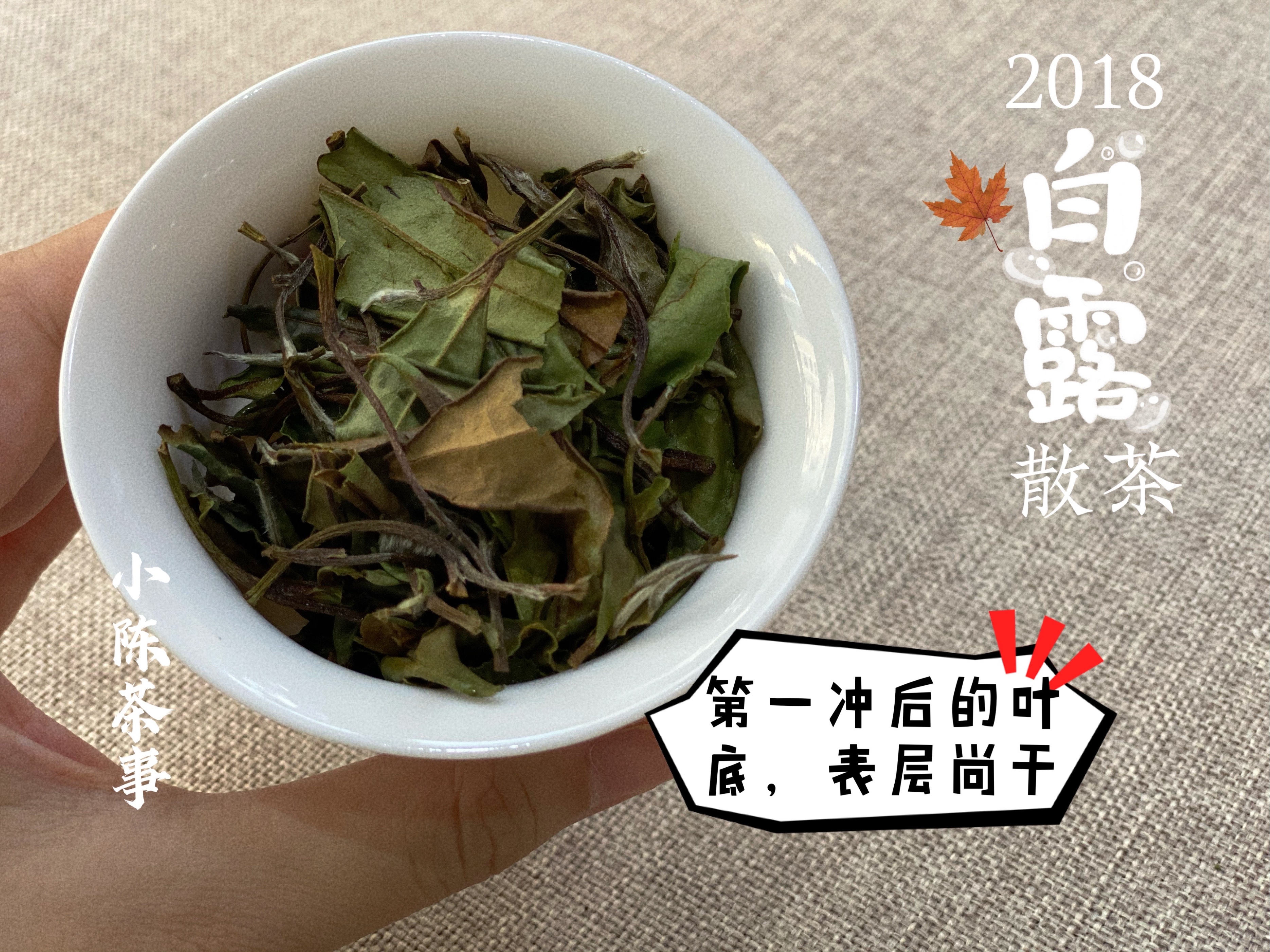 喝茶时，如何才能像高手一样专业闻香？5个特别好学的方法教给你_百科TA说