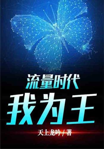 流量时代:我为王