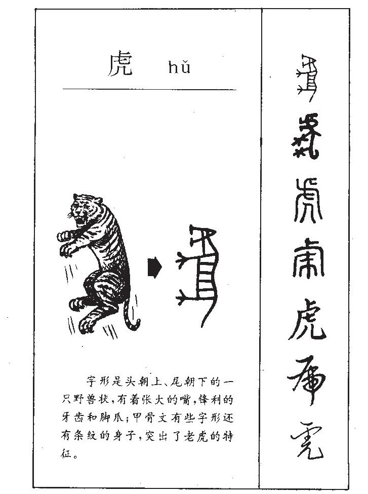 此字始见于商代甲骨文及商代金文,其古字形模拟老虎:字形上部像张开的