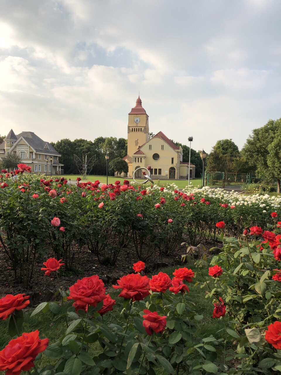 太仓恩钿月季公园