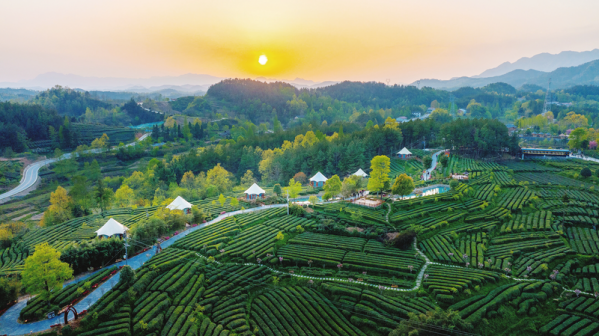 汉中市（中国陕西省下辖地级市）_百度百科