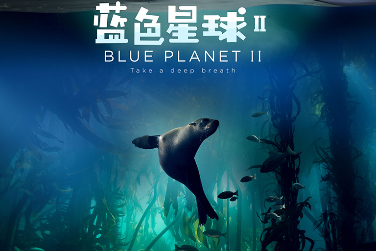 蓝色星球2·深海萌物