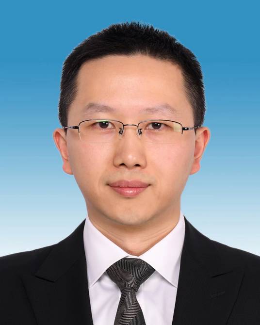 刘丹（重庆市沙坪坝区新桥街道党工委书记）_百度百科