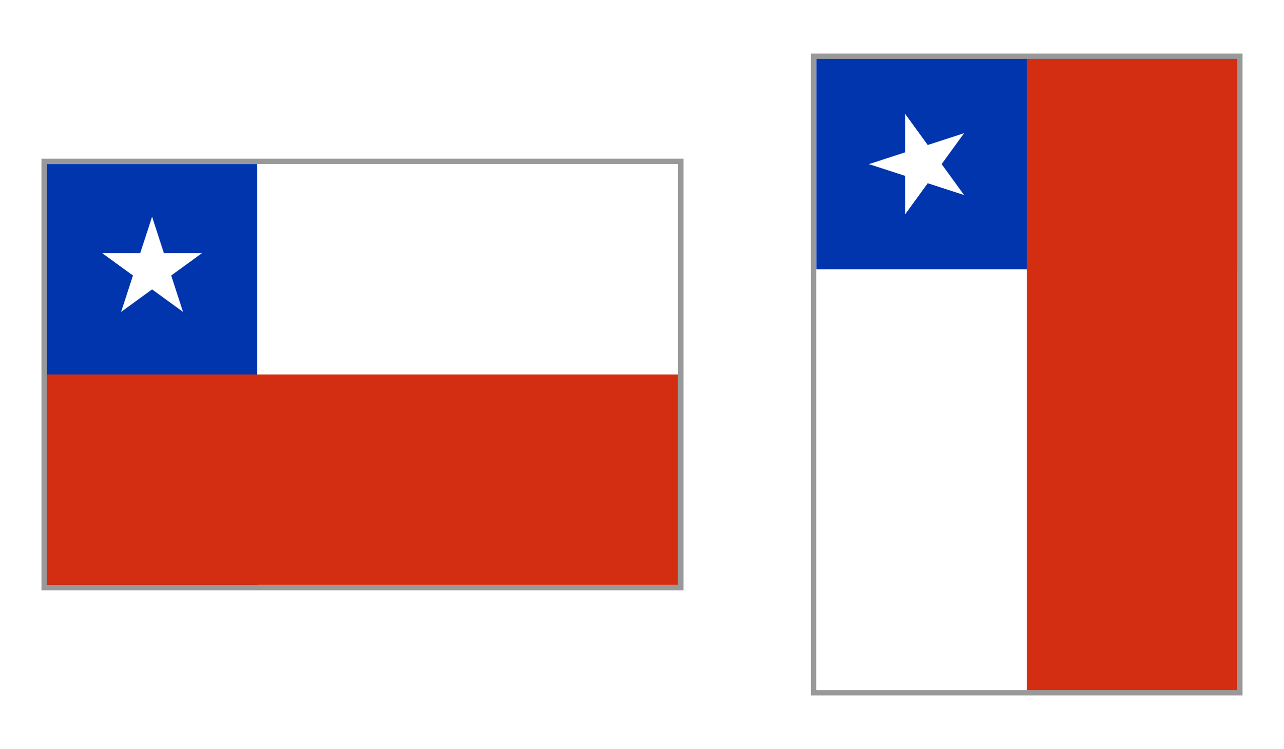 智利共和国国旗