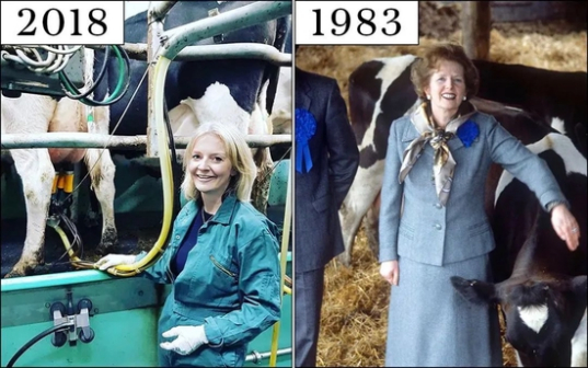 伊丽莎白·特拉斯