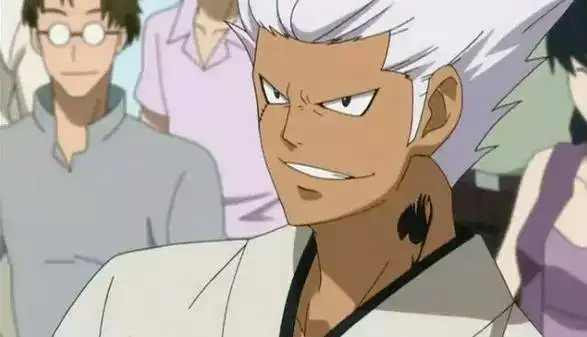 菲奥雷王国中的一流魔导士公会.位于马格诺利亚的