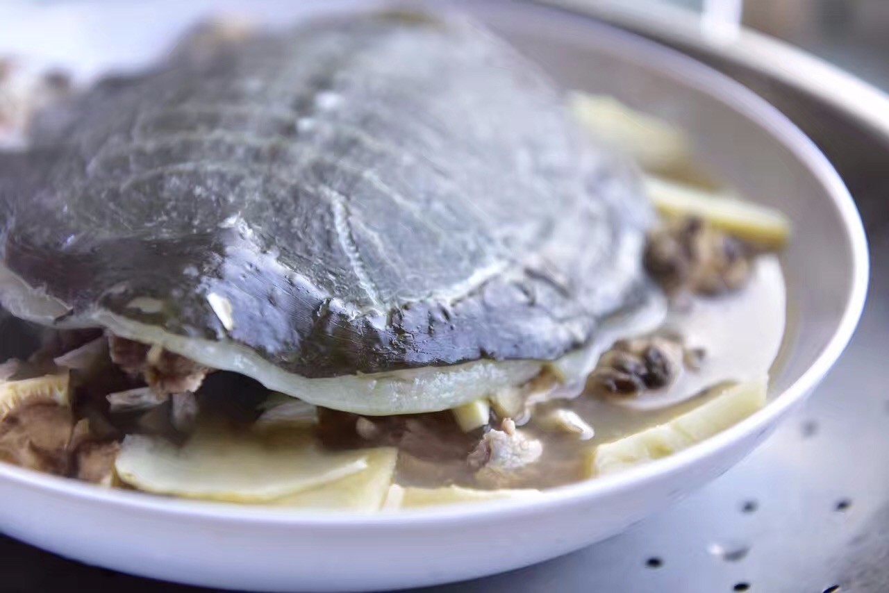  p>清蒸甲鱼以 a href="#" data-lemmaid="1658726">甲鱼 /a>, a href