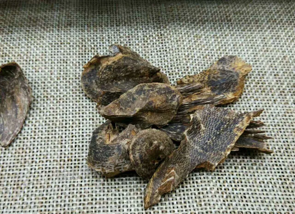 沈香•莞香（高等级绝品老香） 莞香（中国特有的瑞香科沉香属植物结香的产物）_百度百科