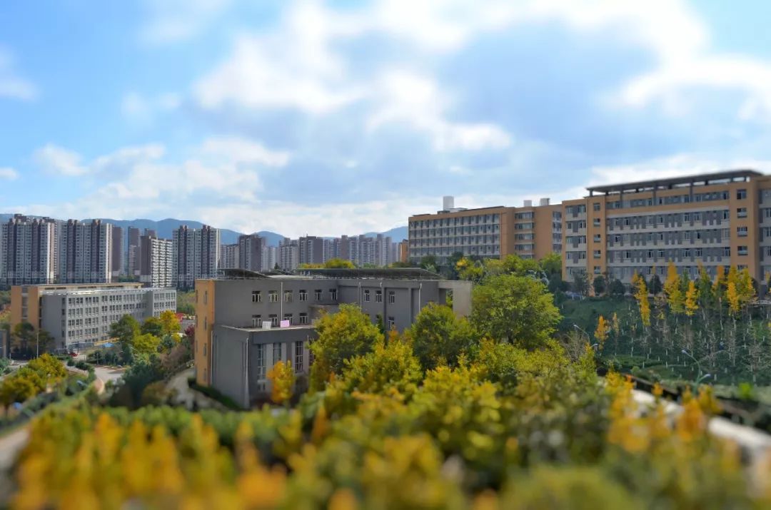 云南交通技术职业学院