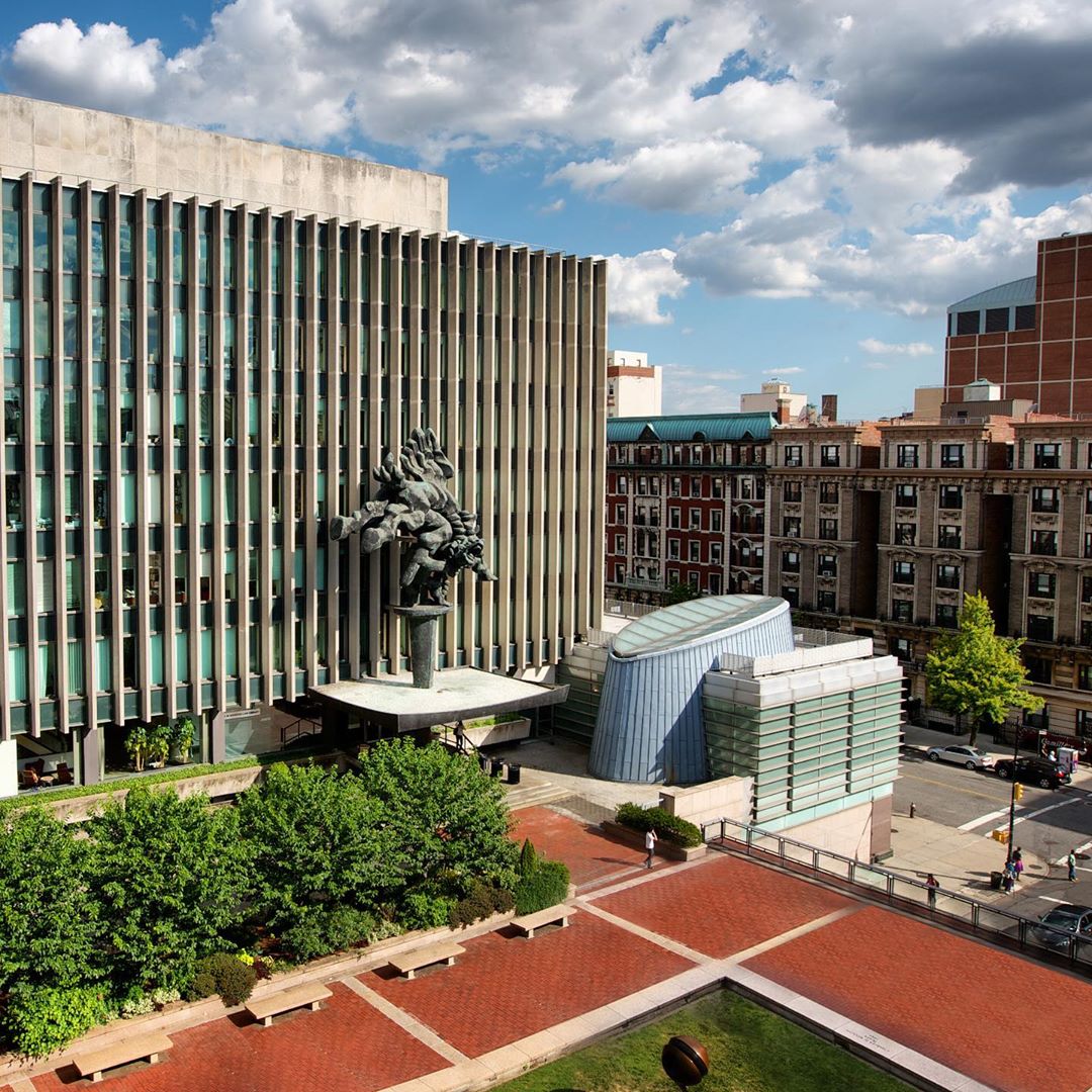 哥伦比亚大学法学院