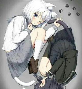 可爱小猫娘不想成为直播姬